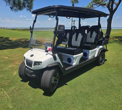 New 6-Seater Cart