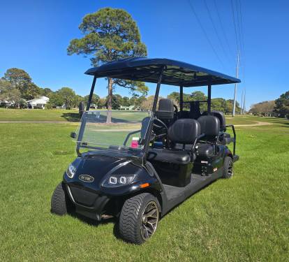 6 Seater Golf Cart
