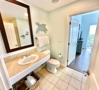 Guest Bathroom