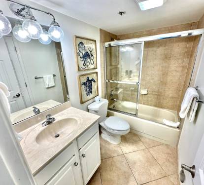 Guest Bathroom
