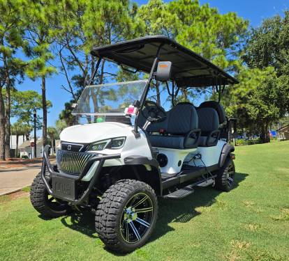 6-Seat Golf Cart Included