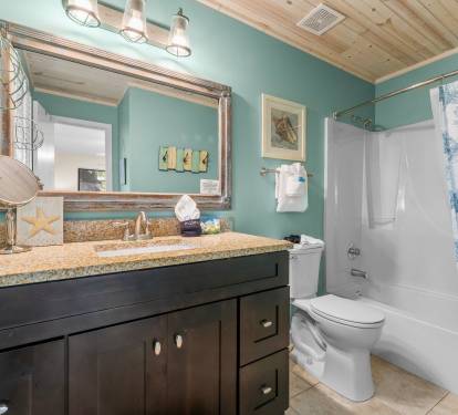 tub shower with mirror and hair dryer