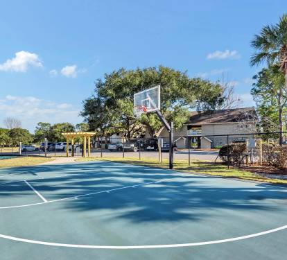 Basketball Court Stock 1