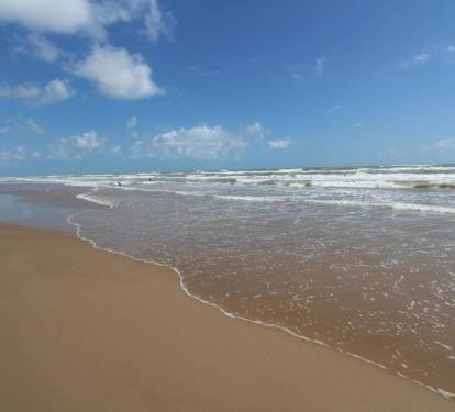 Photo #63