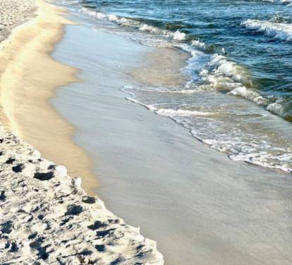 Photo #82