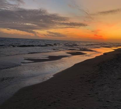Photo #100