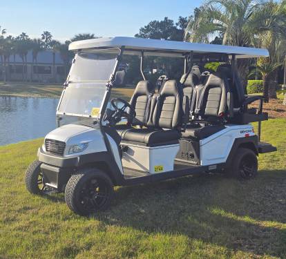 6-Seater Golf Cart Included