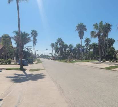 Photo #39