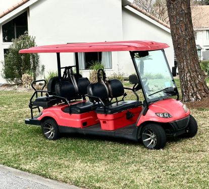 6-Seat Golf Cart Included