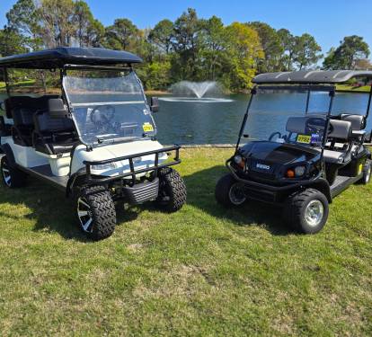Two Golf Carts Included