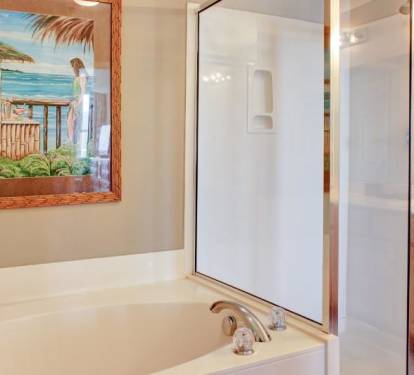 Master Bath / Shower