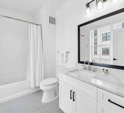 Guest Bathroom 2