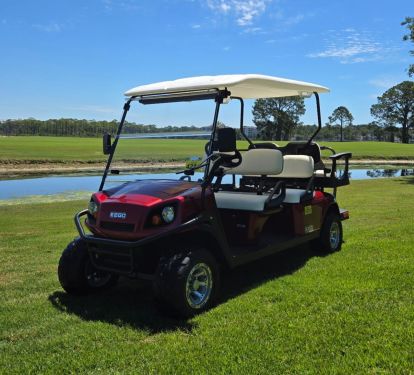 6 Passenger Cart Included!