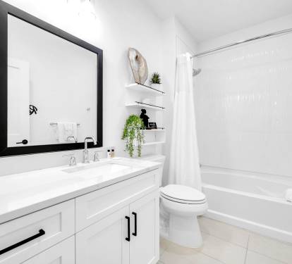Guest Bathroom