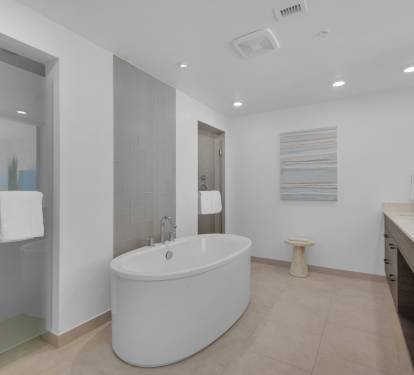 Primary Bathroom with Soaking Tub and Walk-In Shower