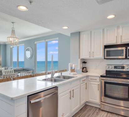 Modern Gourmet Kitchen