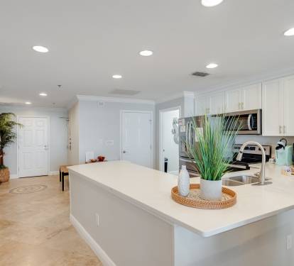 Modern Gourmet Kitchen