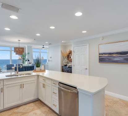 Modern Gourmet Kitchen