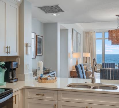 Modern Gourmet Kitchen