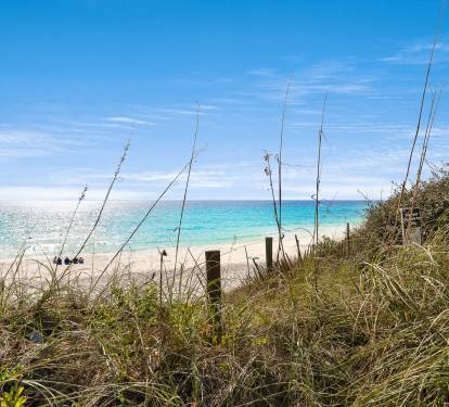 Pristine beach with turquoise waters and natural dunes creating a peaceful coastal setting.