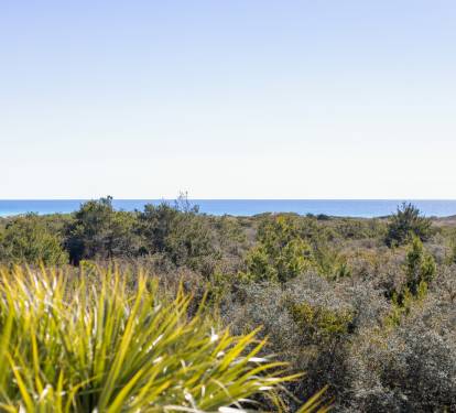 Coastal landscape with native vegetation stretching toward distant ocean views in the background.