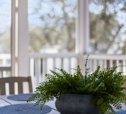 Step into your bright dining space where fresh greenery and natural light create the perfect setting for memorable meals.