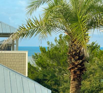 Peek A Boo Gulf Views from the Crows' Nest!