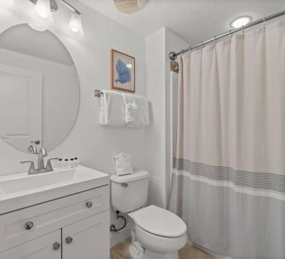 King Guest En-Suite - Single Vanity + Shower/Tub Combo
