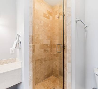 Primary King En-Suite - Walk-In Shower