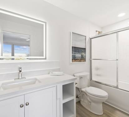 King Guest En-Suite - Single Vanity + Shower/Tub Combo