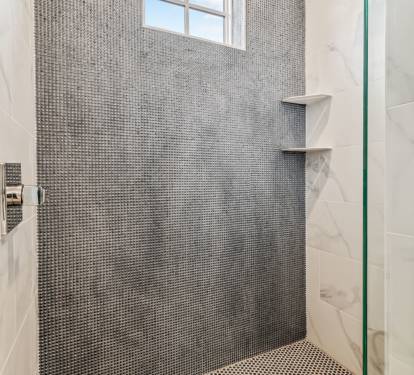 Shared Guest Bathroom - Walk-In Shower