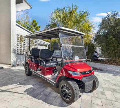 Explore 30A in Style on the 6 Seater LSV!
