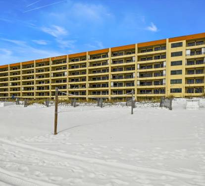 Surf Dweller Back Exterior