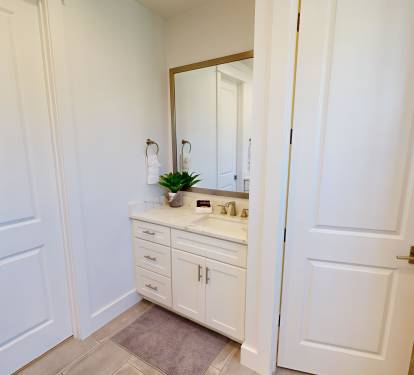 Master Bathroom (1st Floor)