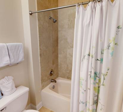 Guest Bathroom 2