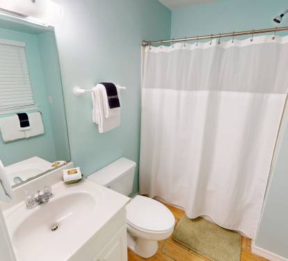Master Bathroom (1st Floor)