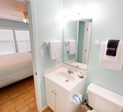 Master Bathroom (1st Floor)