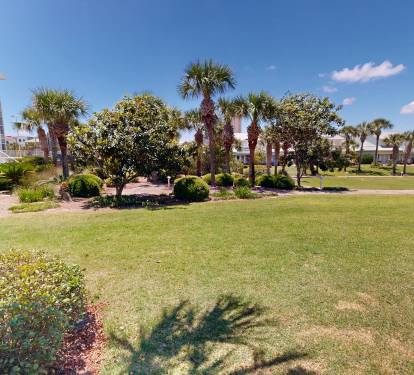 Patio View