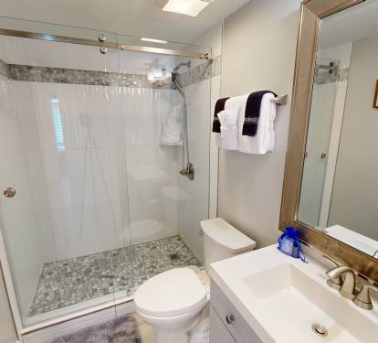 Guest Bathroom 1