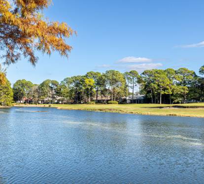 Scenic lake surrounded by mature trees and residential homes in a peaceful neighborhood setting.