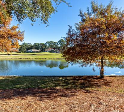 Beautiful autumn landscape with vibrant fall foliage surrounding a peaceful lake in the neighborhood area.