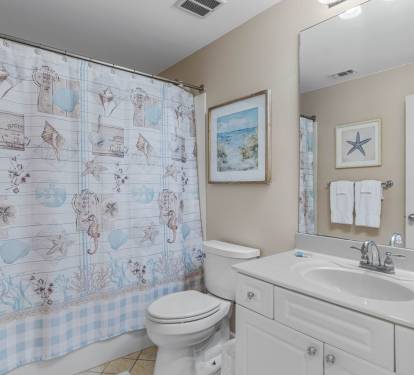 Guest Bathroom (Tub/Shower Combo)