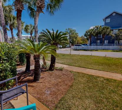 Patio View