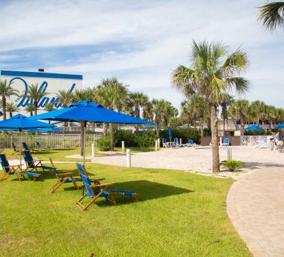 Tropical resort atmosphere with palm trees, blue umbrellas, and beachside seating areas creating a perfect vacation setting.