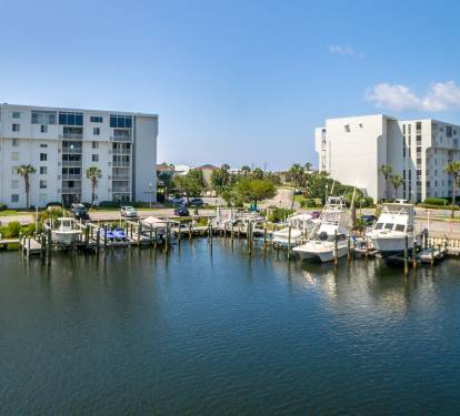Dolphin Point-8