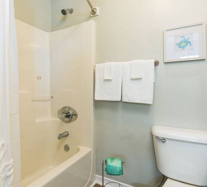 Endless Summer Primary Bathroom