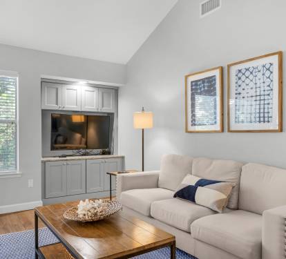 Large Flat Screen TV in Living Area