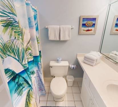 Guest Bathroom 2