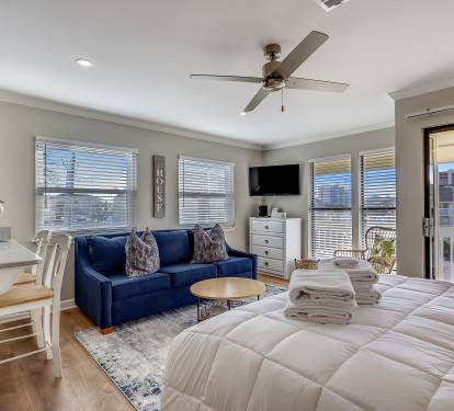 Living room/Sleeping Area