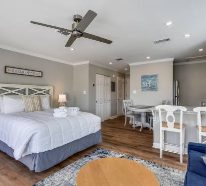 Living room/Sleeping Area